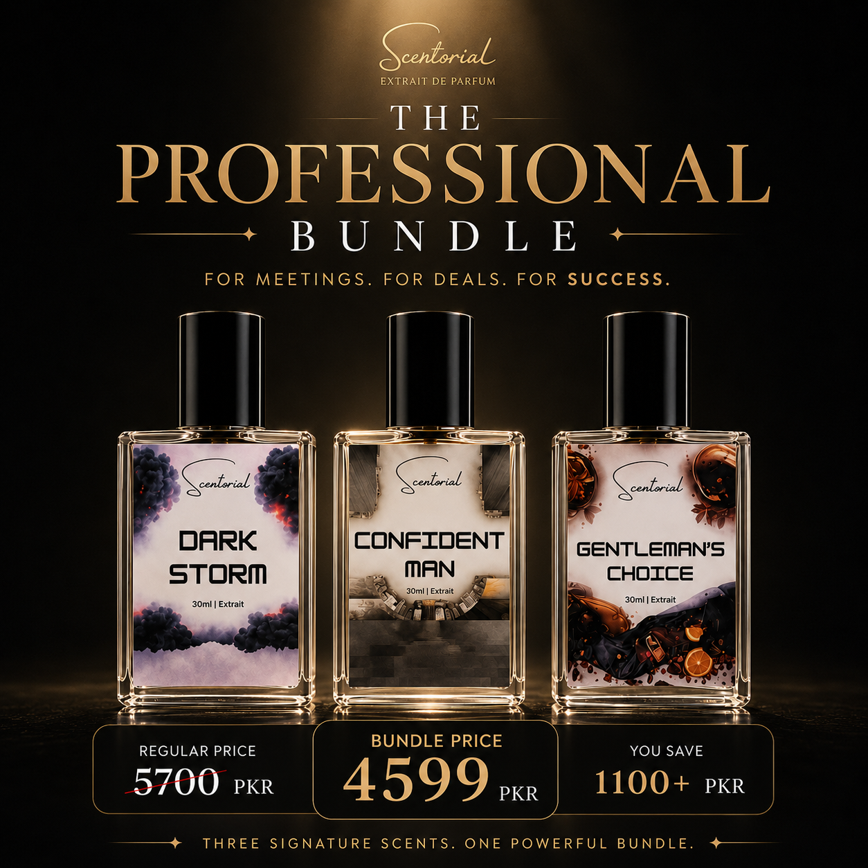 The Professional Bundle