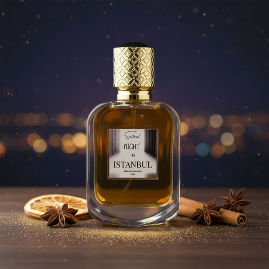 NIGHT IN ISTANBUL – Inspired by Nishane Hacivat