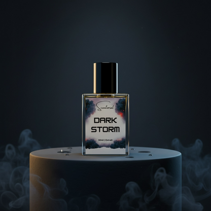 DARK STORM – Inspired by Sauvage Elixir