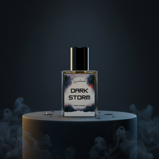 DARK STORM – Inspired by Sauvage Elixir